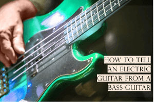 The Difference Between Bass And Electric Guitar (1)