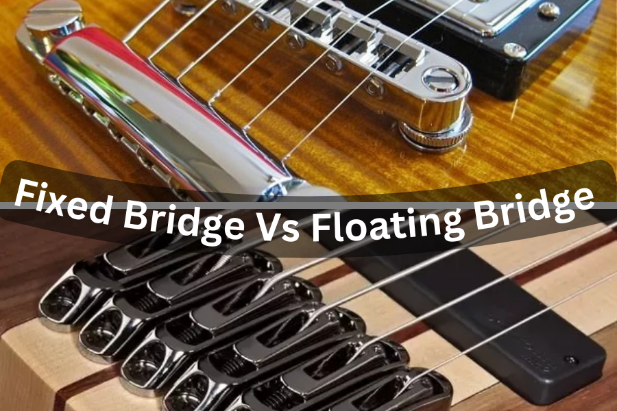5 Key Differences Between Fixed Bridge Vs Floating Bridge Eguitar Mania